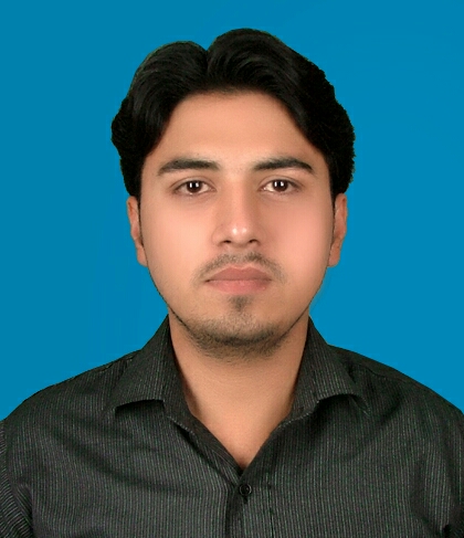 Haider Ali Illustrator, Music