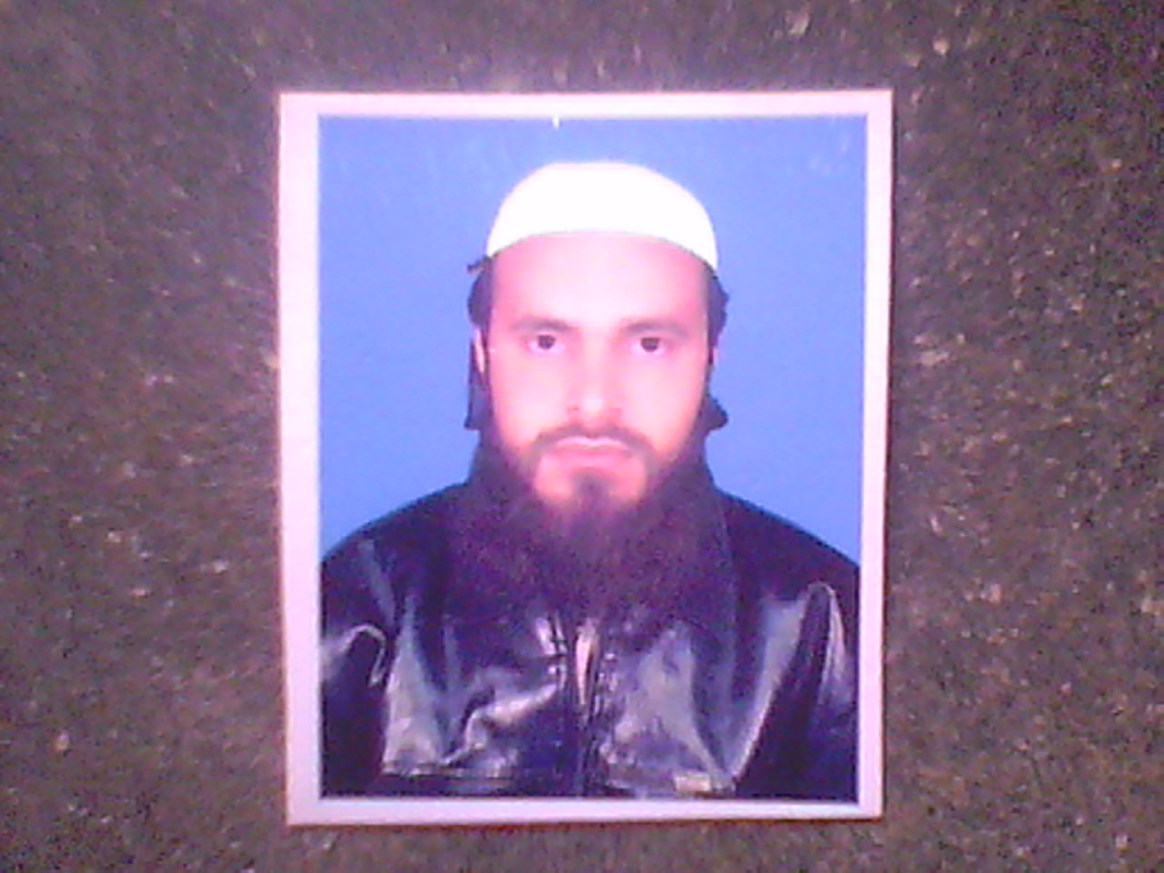 Faisal Shehzad Profile