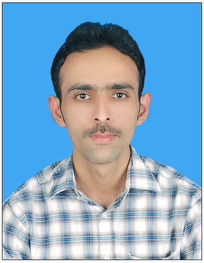 Muhammad Tasneem Anjum Photo Editing, Prezi, Google SketchUp, Accounting