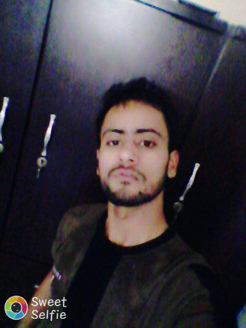 Shayan Ghani Accounting