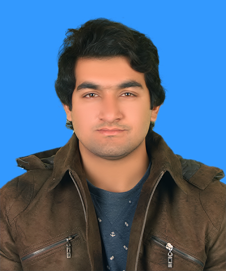 Muhammad Zergham Qureshi Electrical Engineering