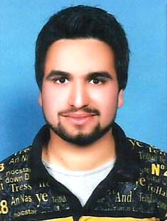 Syed Hamid Gillani Word, Electrical Engineering, Java, C++ Programming, English (UK)