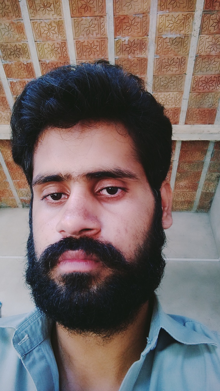 Mohammad Ali Mechanical Engineering