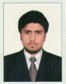 Sayed Mehdi Shah Management, Customer Support, Automotive, Logistics & Shipping, Sales