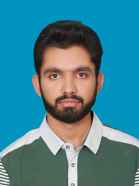 Danyal Ahmed Malik HTML, MySQL, .NET, C# Programming, C++ Programming