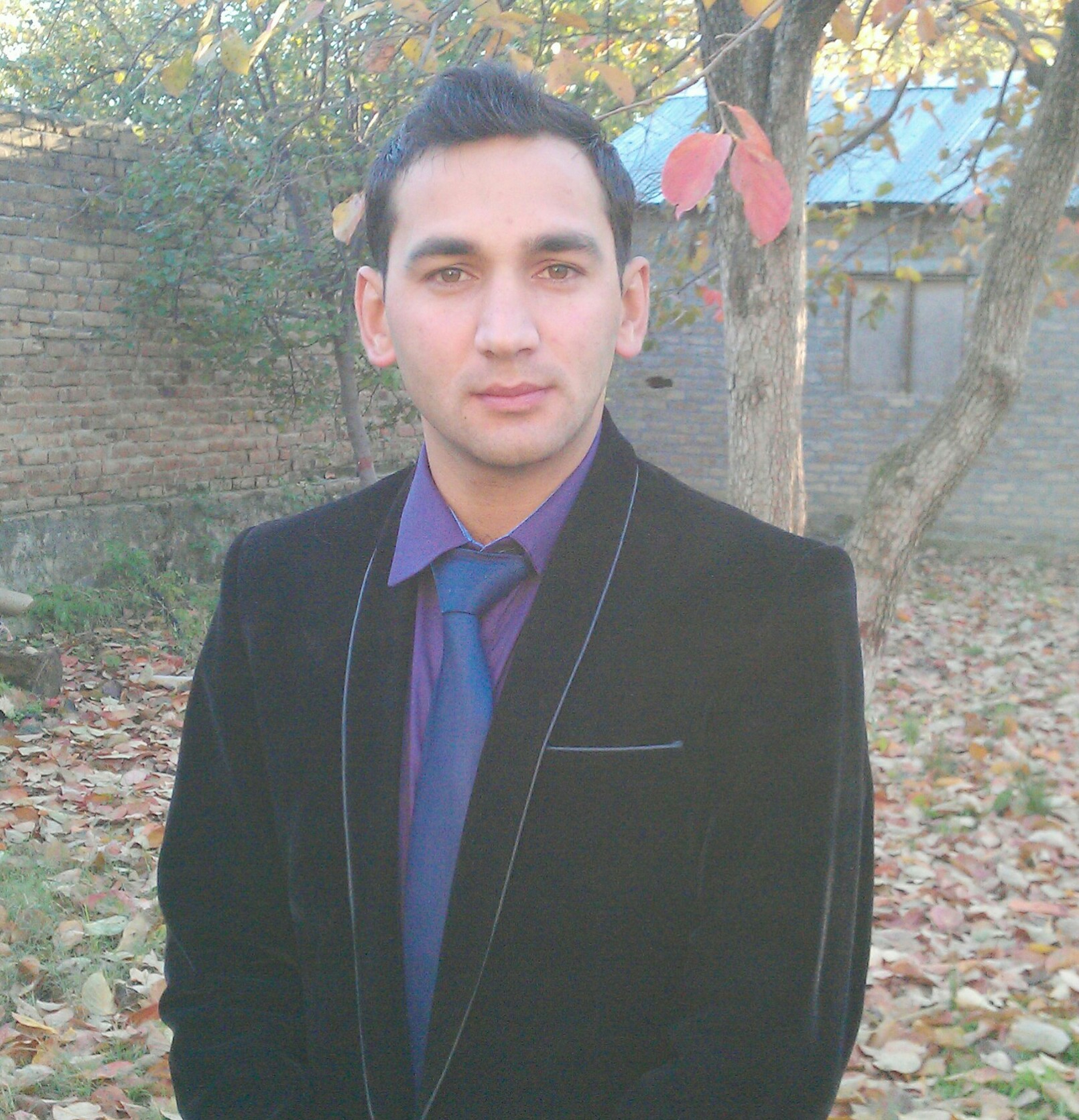 Qasim Shah Statistics