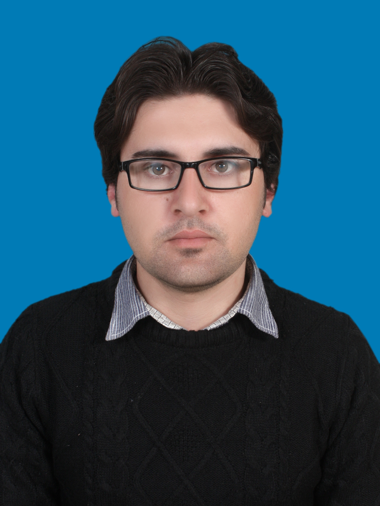 Asghar Shah Desktop Support, Data Entry, Customer Support, Web Search, Virtual Assistant