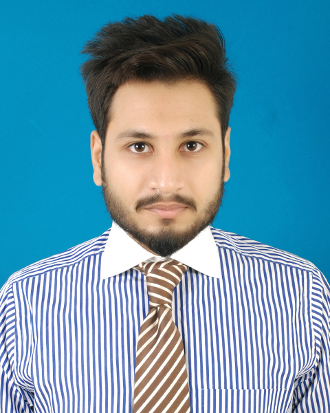 Hussain Meesam .NET, C# Programming, ASP