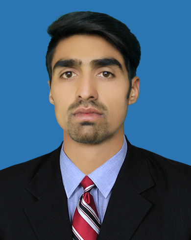 Nasir Ullah Logo Design