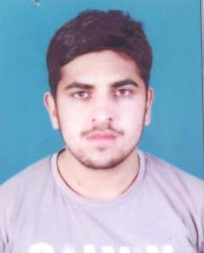 Raja Muhammad Usman Illustrator