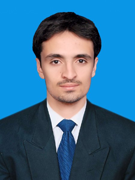 Husnain Masood Word, Inventory Management, Human Resources, ERP, Excel