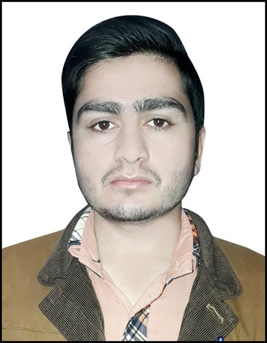 Muhammad Dilawar Electronics