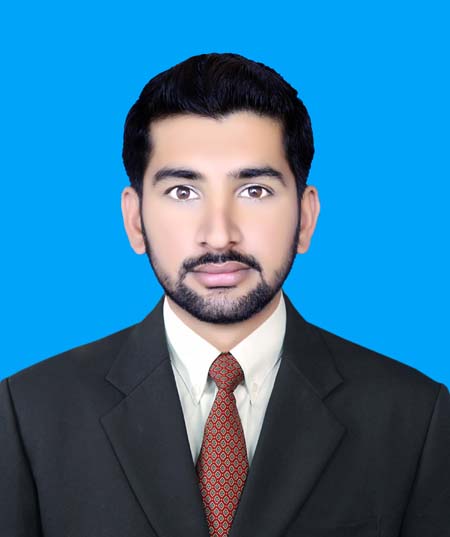 Amer Haneef Data Entry