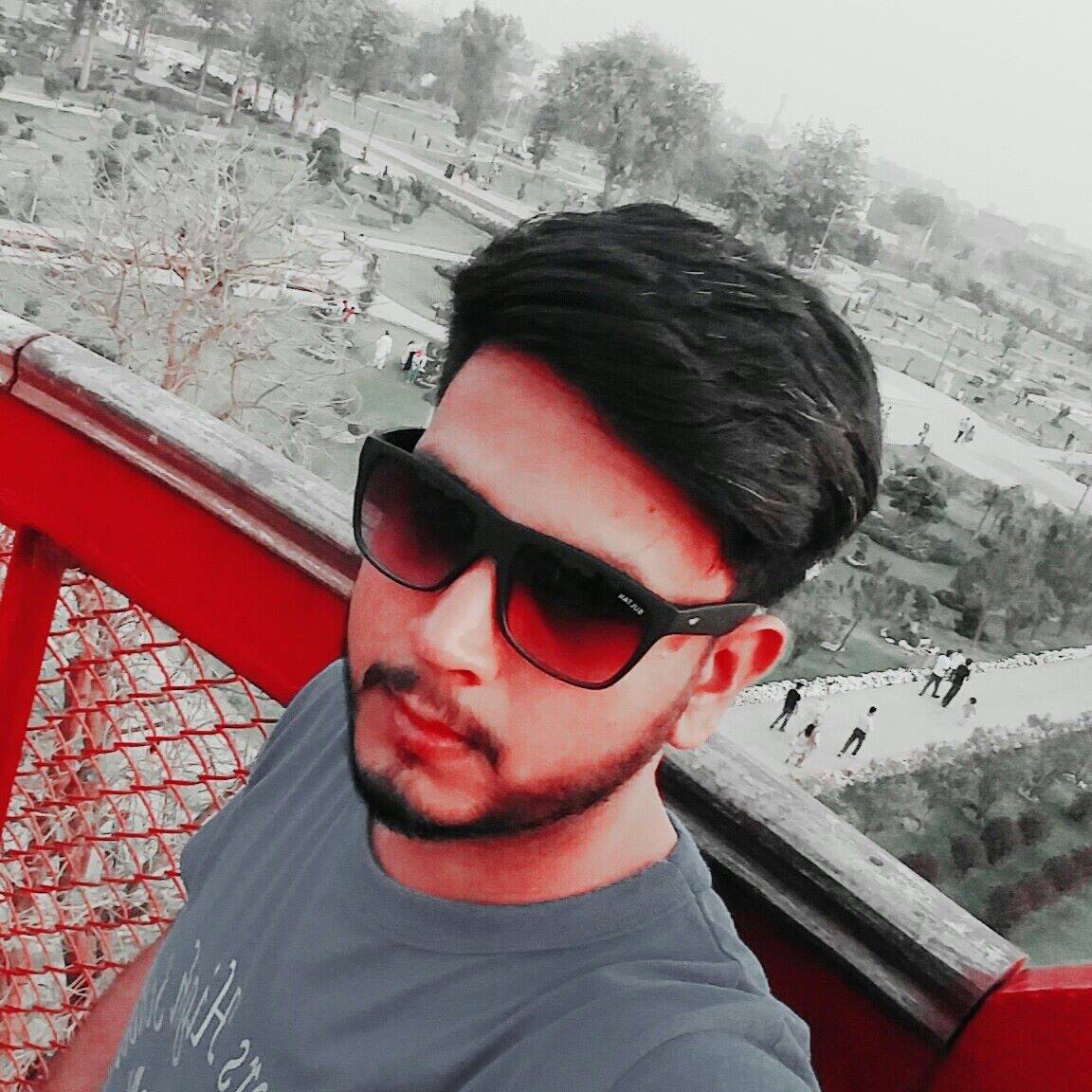 Ali Hassan Data Entry