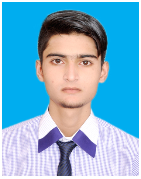 Nofil Majeed Photography, Data Processing, Excel, Desktop Support, Leads