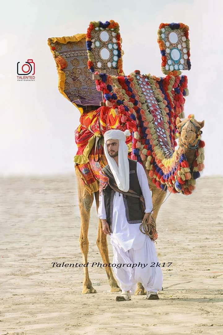 Aqib Sohail Data Entry