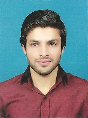 MUHAMMAD ABUBAKAR HTML5, .NET, Software Development, PHP, Ruby