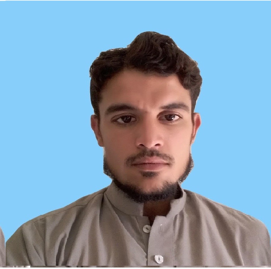 Burhan Ali Electronic Forms