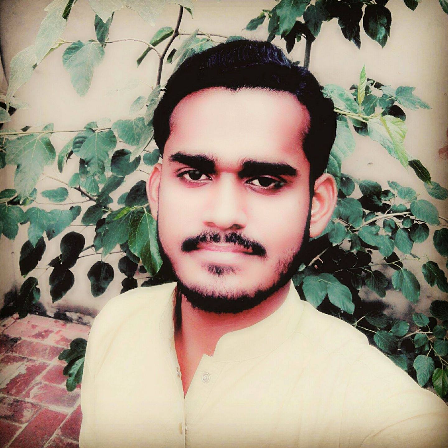 Muhammad Ibrahim Accounting