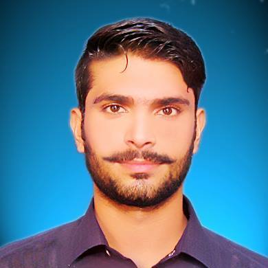 Masaud Ali Shah Report Writing