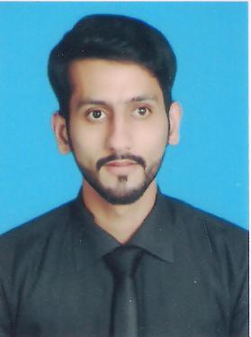 Saqib Munir Excel
