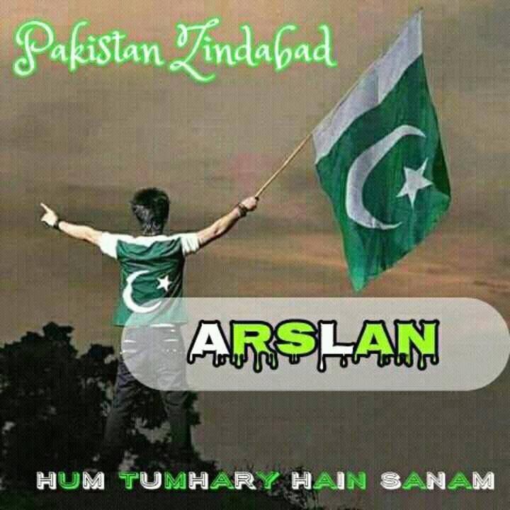 MUHAMMAD ARSALAN Data Entry