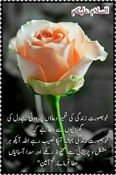 Ejaz Ahmed Word, Excel, Data Entry, Education & Tutoring