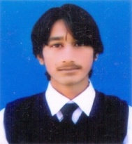 Aqib Majeed Photo Editing, Data Processing, Excel, Reviews