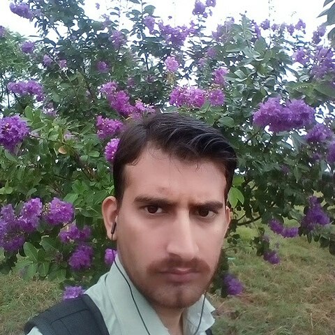 Muhammad Zulfiqar Profile Muhammad Zulfiqar Profile