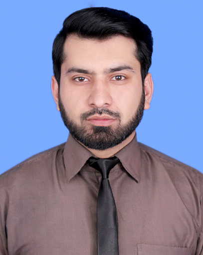 Raja Waqar Data Processing