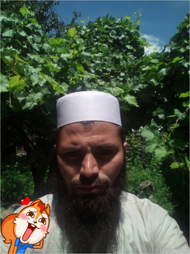 Faheem Ullah Profile Faheem Ullah Profile