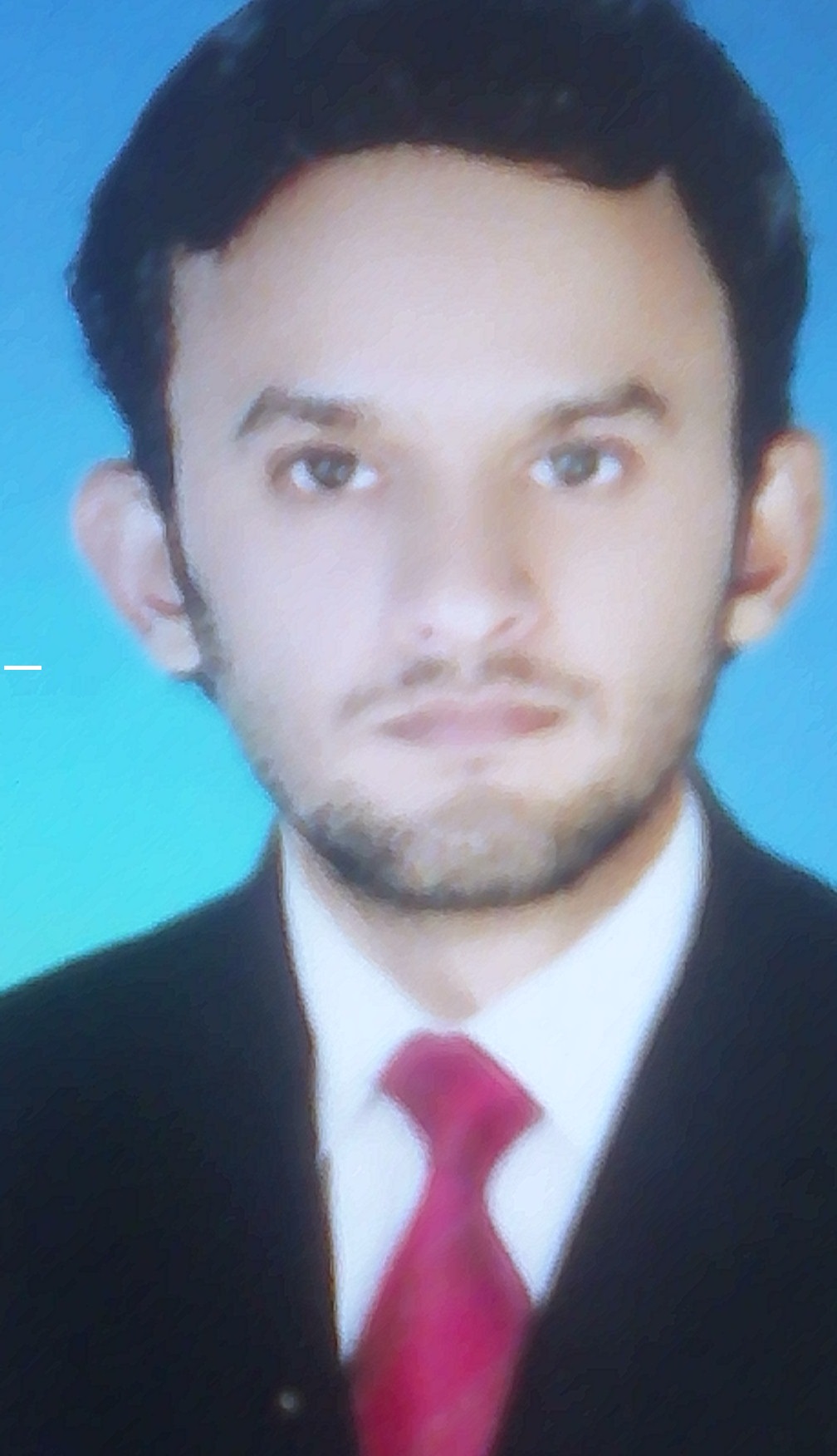 Ameer Maaveya Data Entry