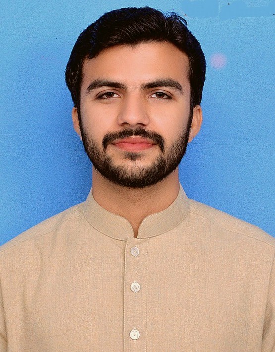 Bilal Ahmed Presentations