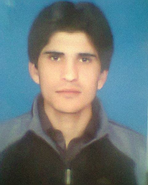 Saddam Hussain Fiction