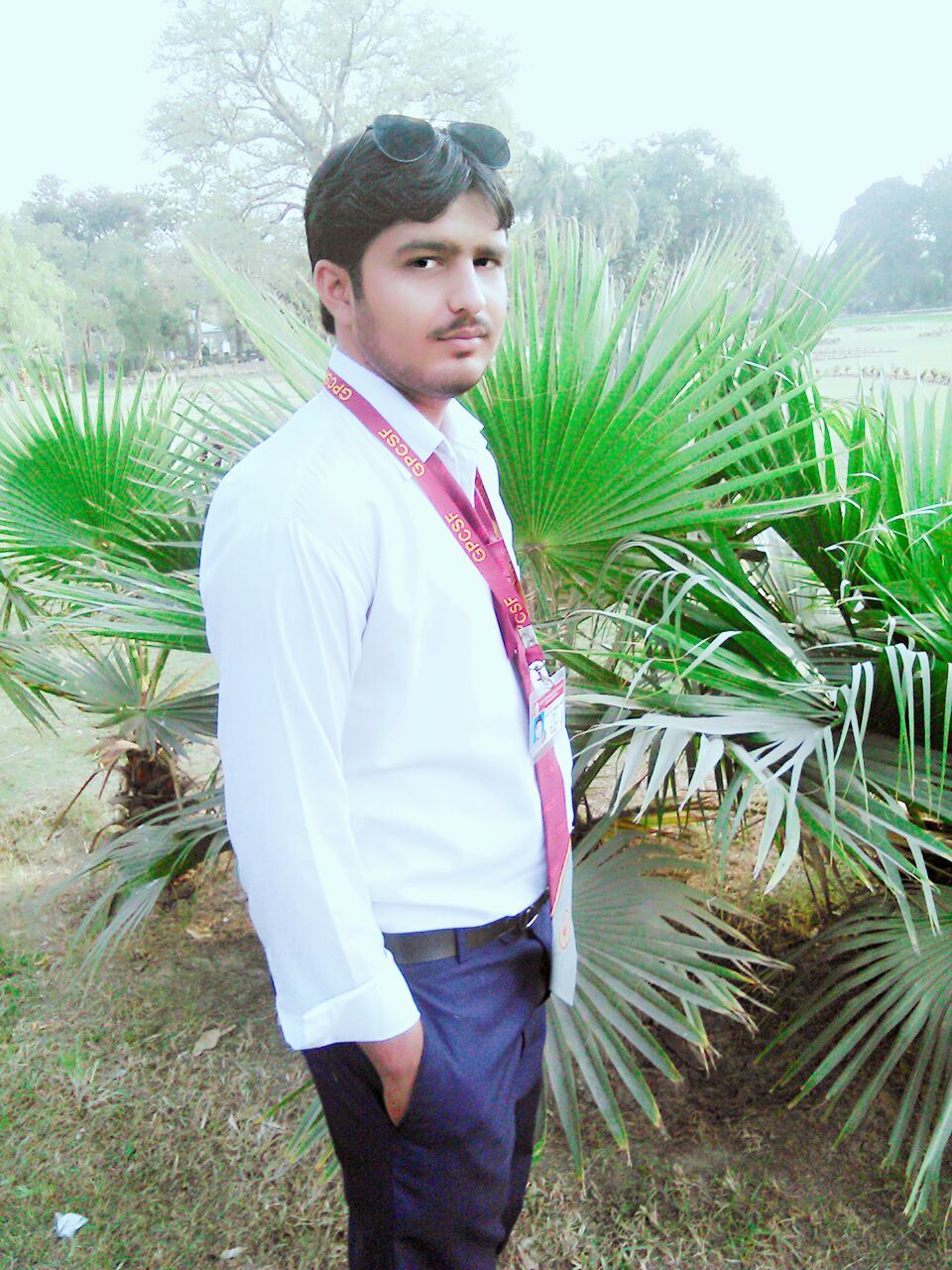 HAFIZ M AMMAR JALIL Profile HAFIZ M AMMAR JALIL Profile