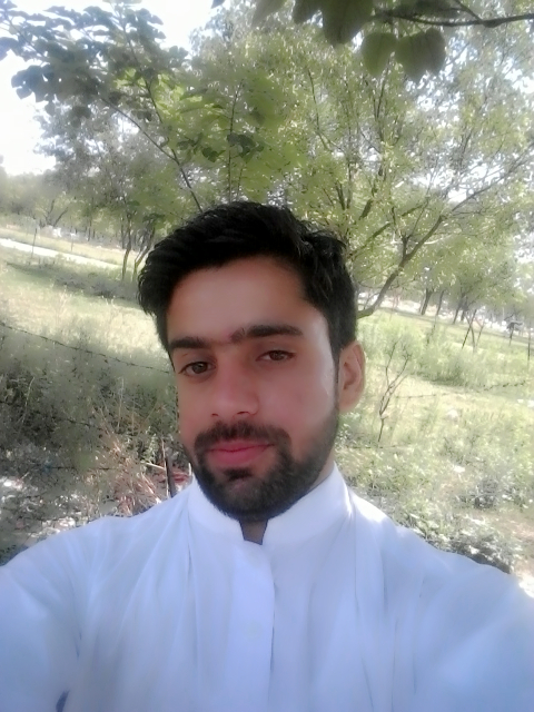 Haider Ali Profile Haider Ali Profile