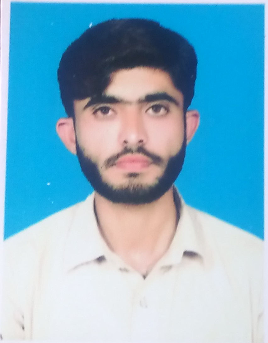 Sadam Hussain Data Processing, Excel, Data Entry