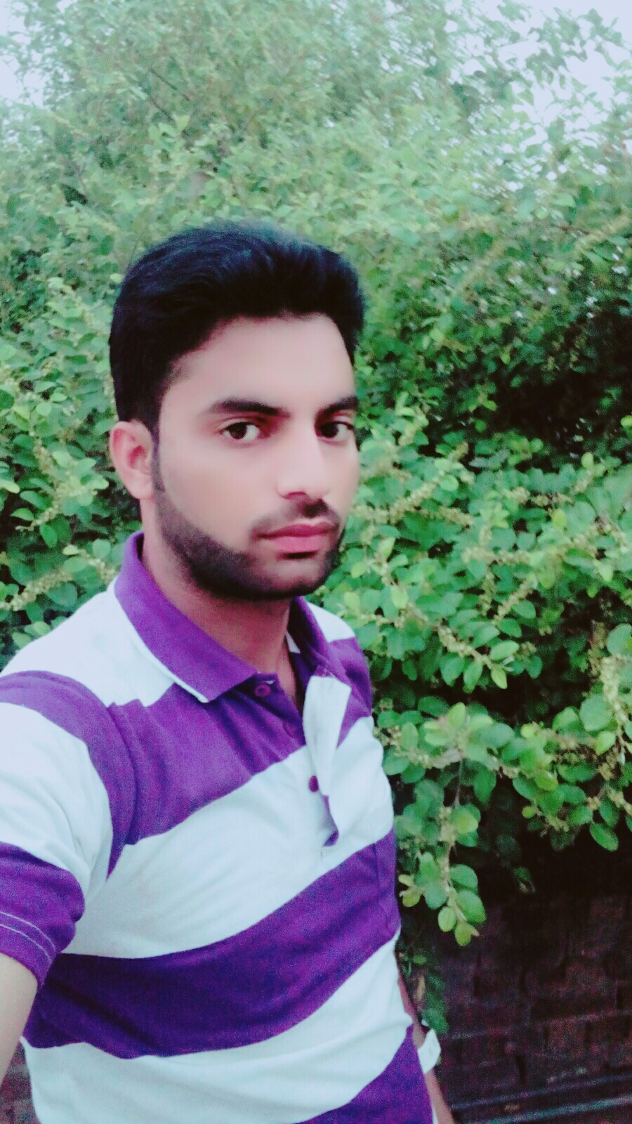 Qmar Farooq MYOB