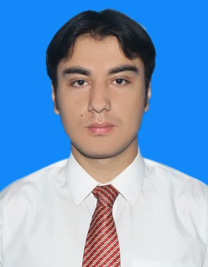 Wazir Wajahat Hussain 