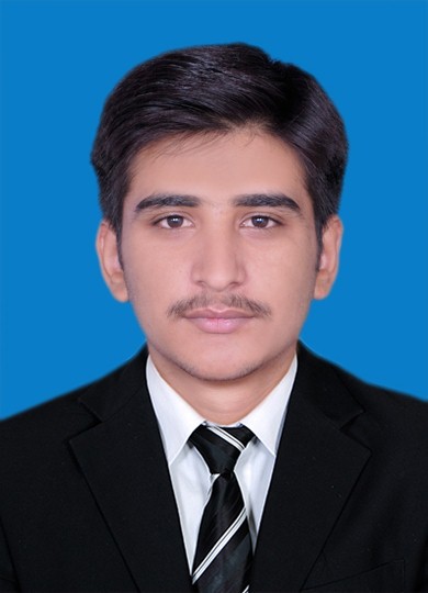 Mozam Ali Data Processing, Excel, Data Entry, Customer Support, Virtual Assistant