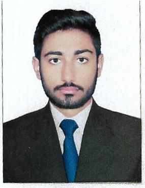 Muhammad Arslan Technical Support, Data Entry, Electronics, Microcontroller, Microstation