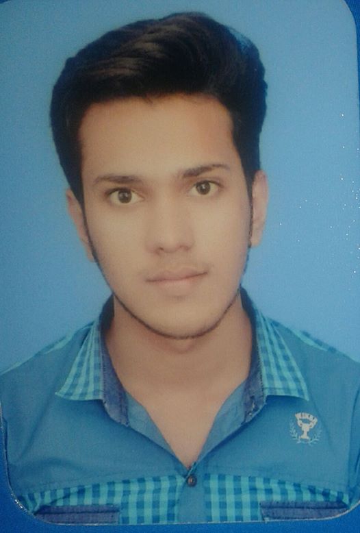 Faisal Ali Punjabi, Urdu, English (US), Communications, Creative Writing