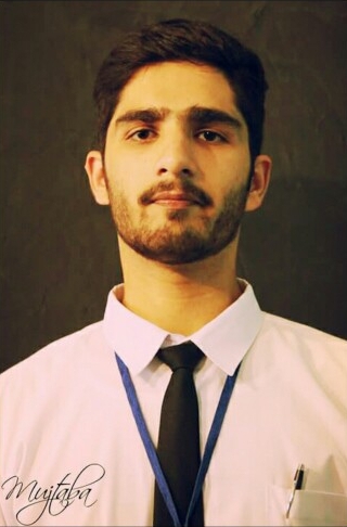 Mujtaba Tanvir Word, Data Entry, Electronics, English (UK), Arabic