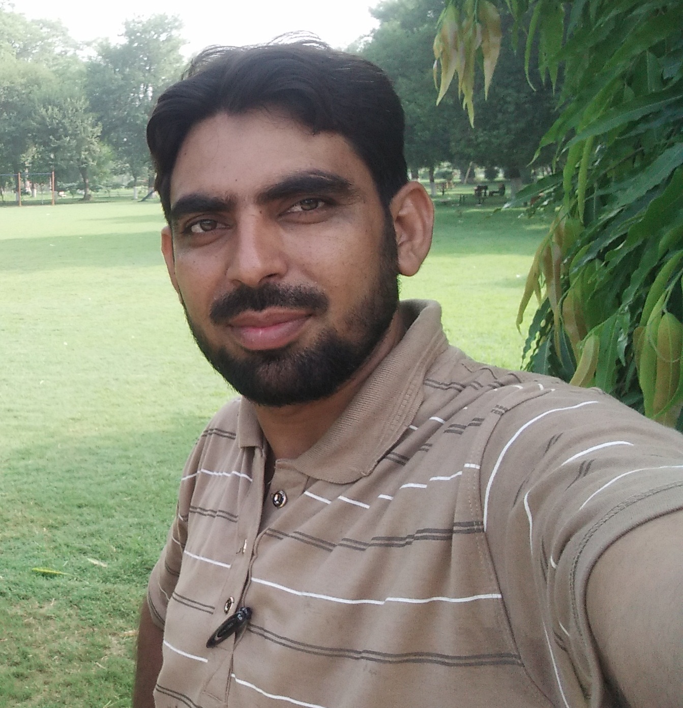 Muhammad Kashif Management