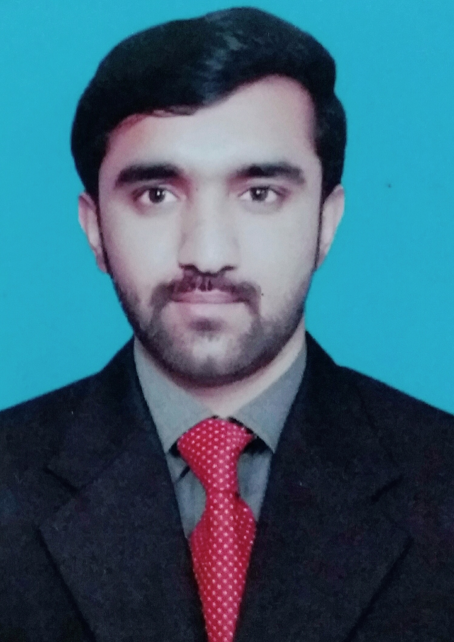 Ali Abbas Finance, Data Entry, Machine Learning, .NET, SQL