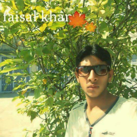 Muhammad Faisal Accounting, Management, Human Resources, Finance, Audit