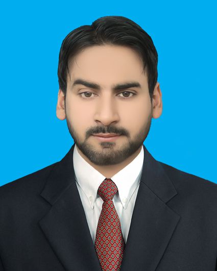 Muhammad Hassan Accounting, Management, Finance, Business Plans, Excel