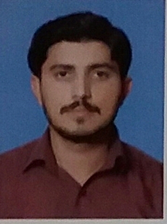 Waseem Akram Data Entry