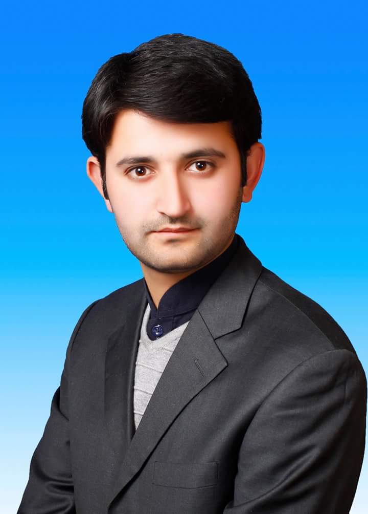 Syed Farzand Ali Shah Music, Data Processing, Data Entry, Imaging