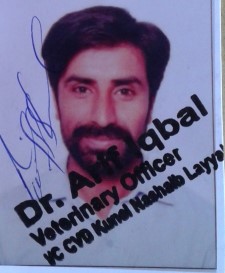 Sajed Hussain Shah AutoCAD